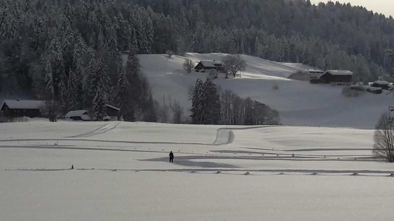 Ferienwohnung Bechter Hittisau Eksteriør bilde